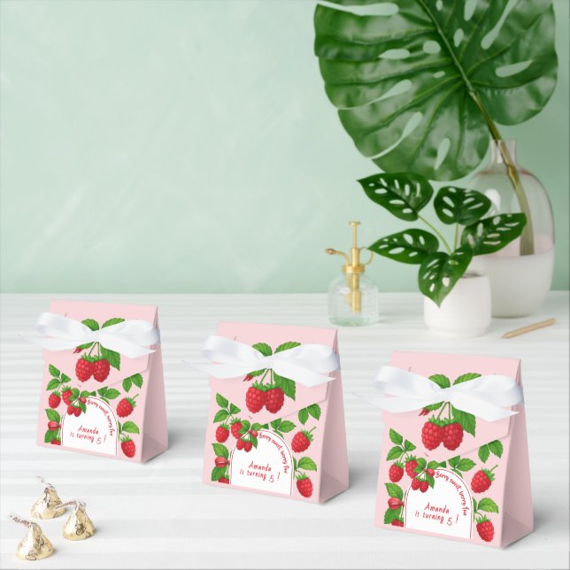 Berry Sweet Raspberry Kids Birthday Party -  Favor Box (Multiple)