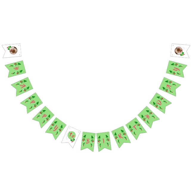 Berry Sweet Strawberry Mint Green 1st Birthday  Bunting Flags (All)