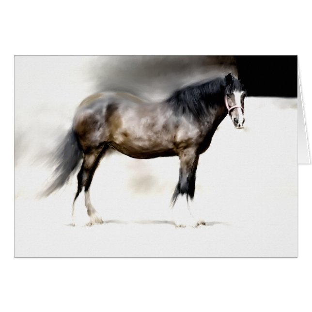 BERTHA Biggest SHIRE HORSE (Front Horizontal)