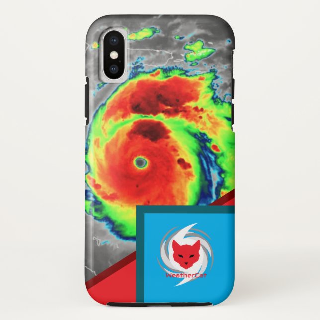 Beryl WeatherCat Phone Case (Back)