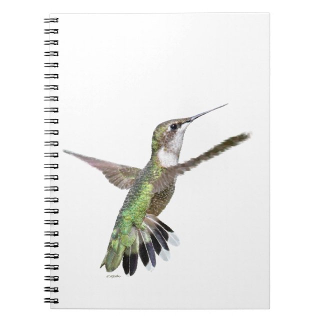 Berylline Hummingbird Painting Notebook (Front)