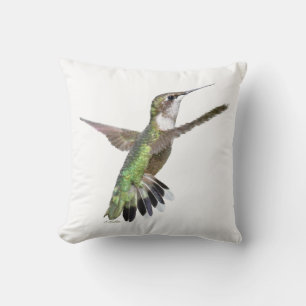 Berylline hummingbird throw pillow
