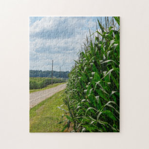 Beside A Corn Field Jigsaw Puzzle