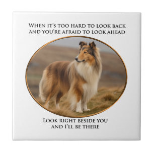 Beside You Collie Tile