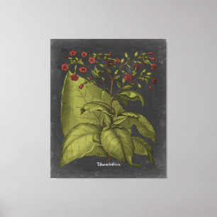 Besler Dramatique I Canvas Print