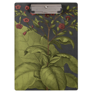 Besler Dramatique I Clipboard