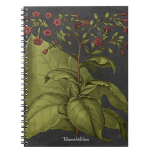 Besler Dramatique I Notebook