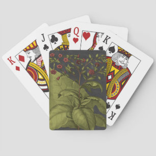 Besler Dramatique I Playing Cards