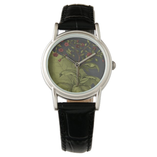 Besler Dramatique I Watch (Front)