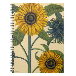 Besler: Sunflower Notebook