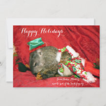 Bessie and Bluster Holiday Invitation/Photocard