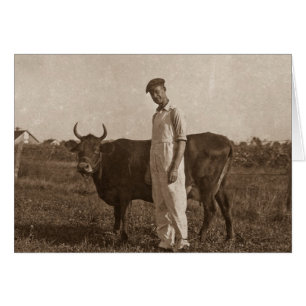 Bessie la vache