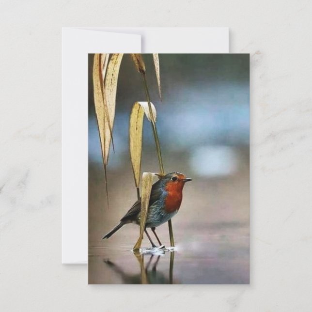 Best 3.5" x 5" Flat Thank You Card (Front)