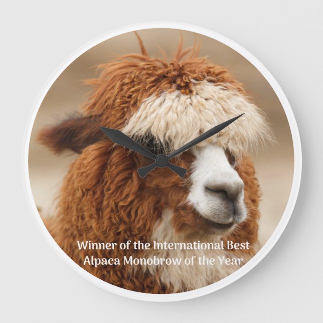 Best Alpaca Monobrow Large Clock (Front)