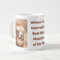 Best Alpaca Monobrow