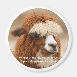 Best Alpaca Monobrow Magnet