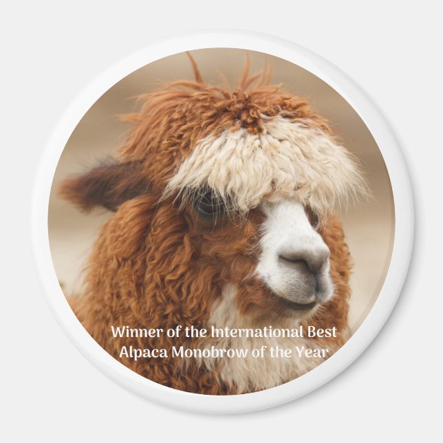 Best Alpaca Monobrow Magnet (Front)