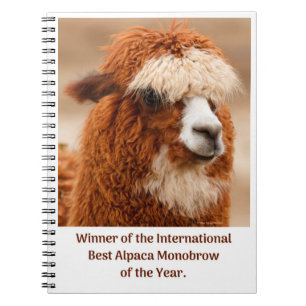 Best Alpaca Monobrow Notebook
