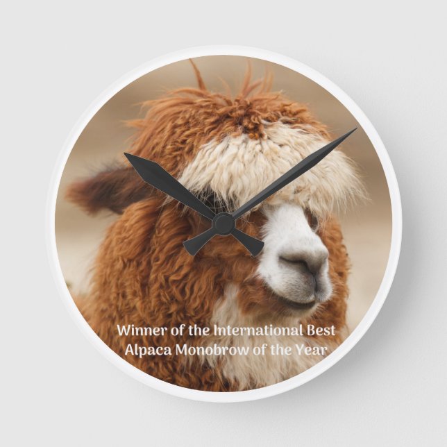 Best Alpaca Monobrow Round Clock (Front)