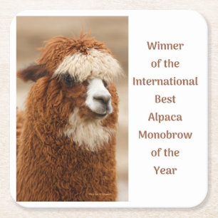 Best Alpaca Monobrow Square Paper Coaster