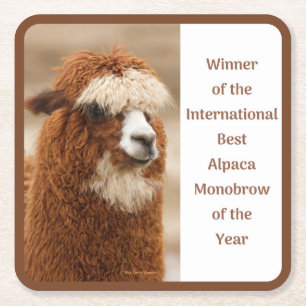 Best Alpaca Monobrow Square Paper Coaster