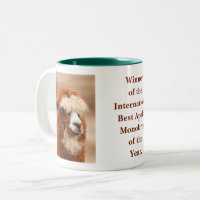 Best Alpaca Monobrow