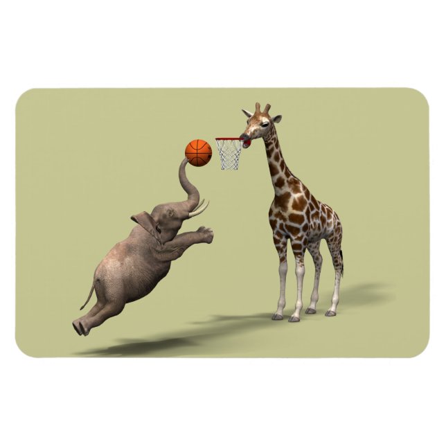 Best Basketball Scorer Magnet (Horizontal)