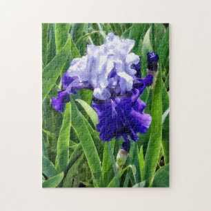 Best Bet Iris Jigsaw Puzzle