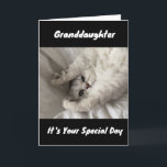 BEST BIRTHDAY EVER TO ***GRANDDAUGHTER***   CARD<br><div class="desc">THANKS FOR STOPPING BY ONE OF MY EIGHT STORES!</div>