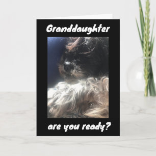 BEST BIRTHDAY EVER TO ***GRANDDAUGHTER***   CARD