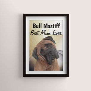 Best Bull Mastiff Mom  Poster