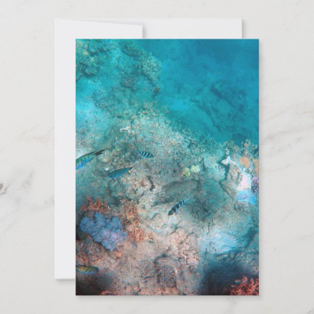 Best Card 5" x 7" (Front)