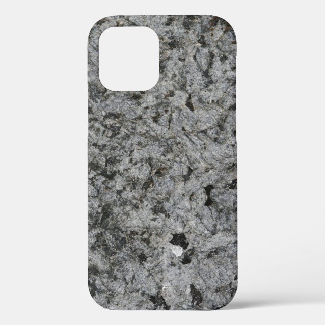 Best Case-Mate Tough Apple iPhone 12 Case (Back)