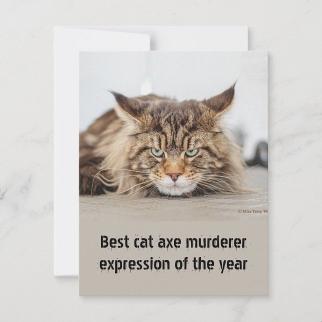 Best cat ax murderer expression (Front)