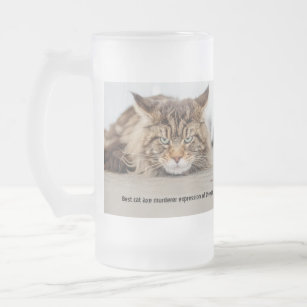 Best cat ax murderer expression frosted glass beer mug