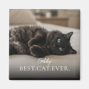 Best Cat Ever Your Pet Name And Photo  Magnet