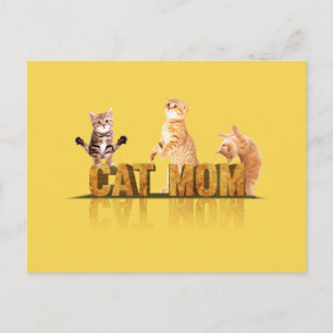 Best cat mom ever   best cat mom funny   funny cat postcard