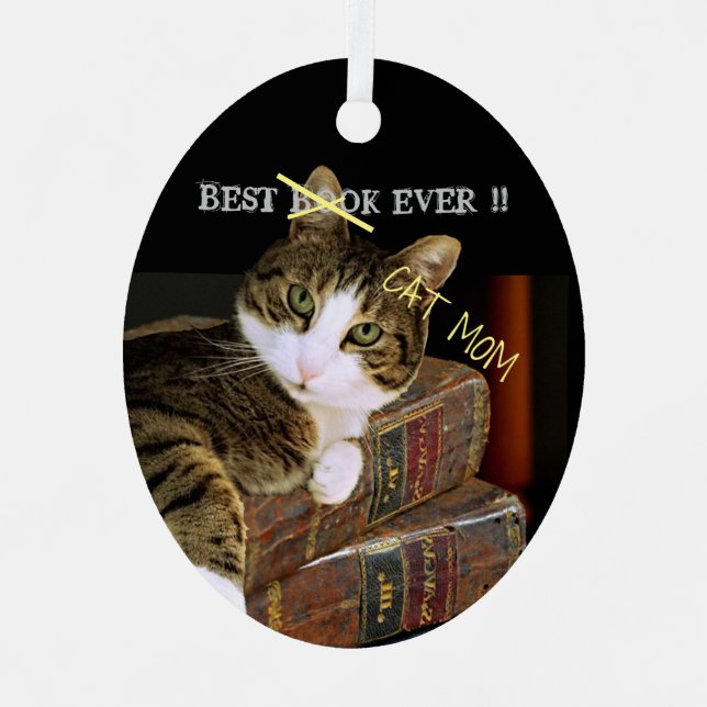Best Cat Mom Ever Fun Metal Ornament (Front)