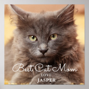 Best Cat Mom Photo Poster