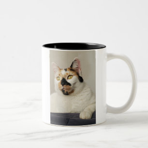 Best Cat Mom Photo Two-Tone Coffee Mug