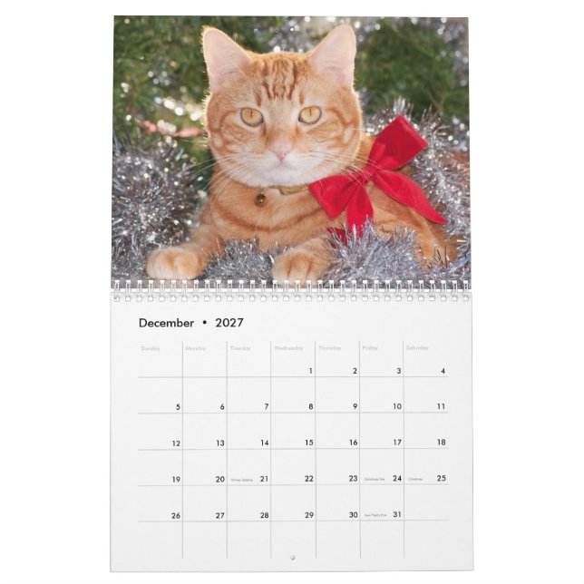 Best Cats Calendar (Dec 2027)