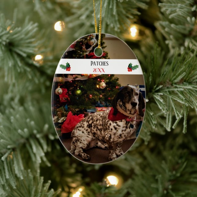 Best Christmas Ever Pet Photo Template Ceramic Ornament (Tree)