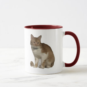Best Coworker Cat Photo and  Hearts Mug