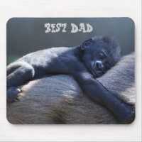 Best Dad, baby ape hugging dad ape