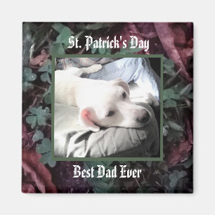 Best Dad Cute Dog Shamrocks and Clovers Green Magnet