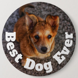 Best Dog Ever 6 Inch Round Button