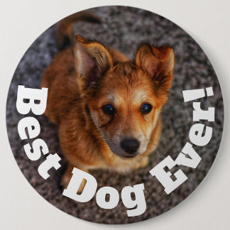 Best Dog Ever 6 Inch Round Button
