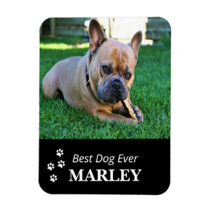 Best Dog Ever Flexible Photo Magnet