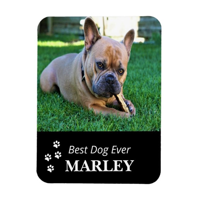 Best Dog Ever Flexible Photo Magnet (Vertical)