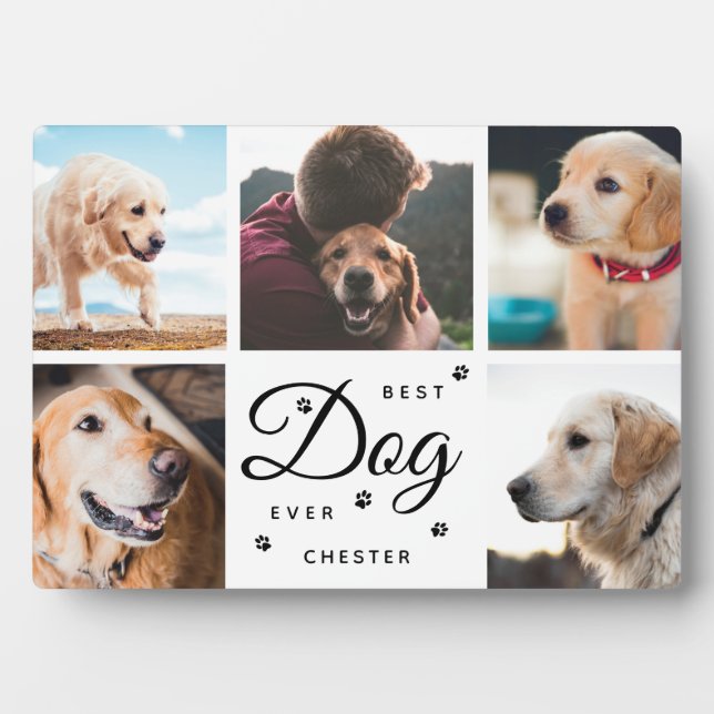 Best Dog Ever Memorial Paws Modern Photo Collage Plaque (Front)